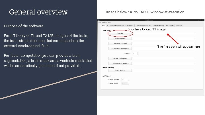 General overview Purpose of the software : From T 1 only or T 1