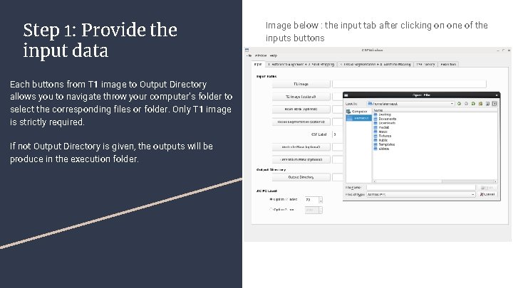 Step 1: Provide the input data Each buttons from T 1 image to Output