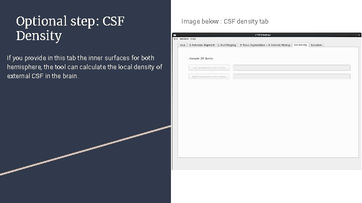 Optional step: CSF Density If you provide in this tab the inner surfaces for
