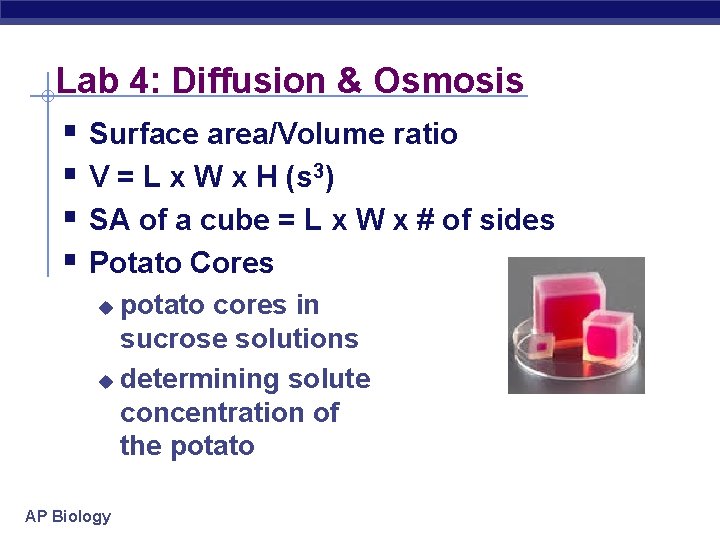 Lab 4: Diffusion & Osmosis § Surface area/Volume ratio § V = L x
