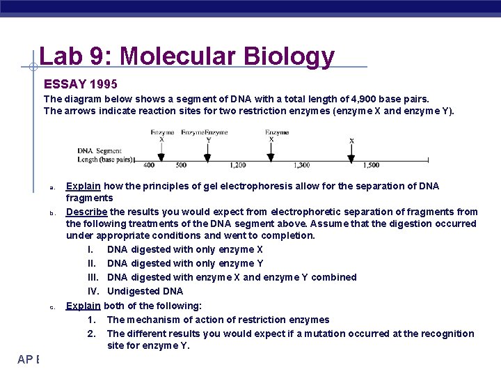 Lab 9: Molecular Biology ESSAY 1995 The diagram below shows a segment of DNA