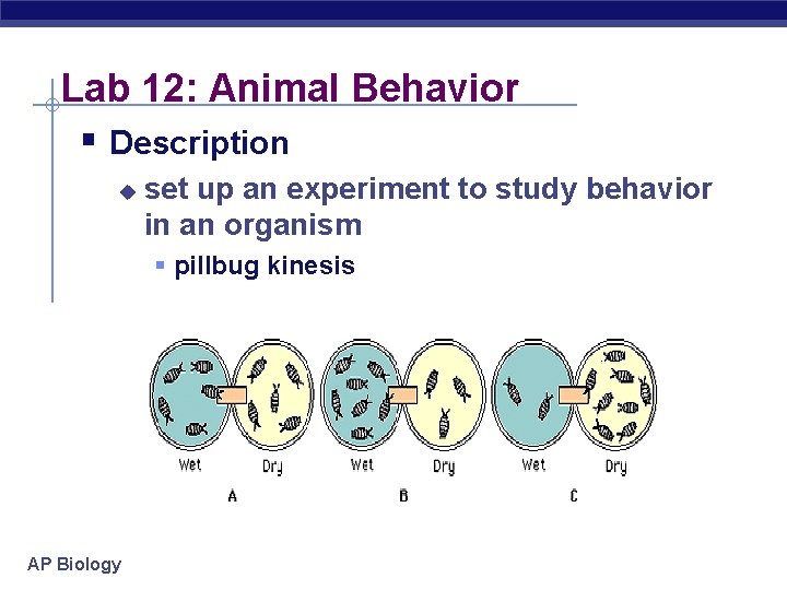 Lab 12: Animal Behavior § Description u set up an experiment to study behavior