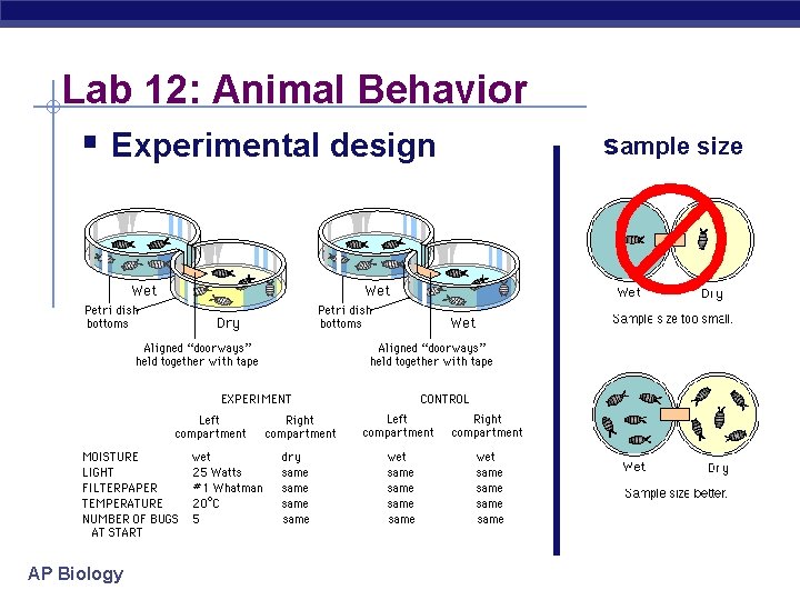Lab 12: Animal Behavior § Experimental design AP Biology sample size 