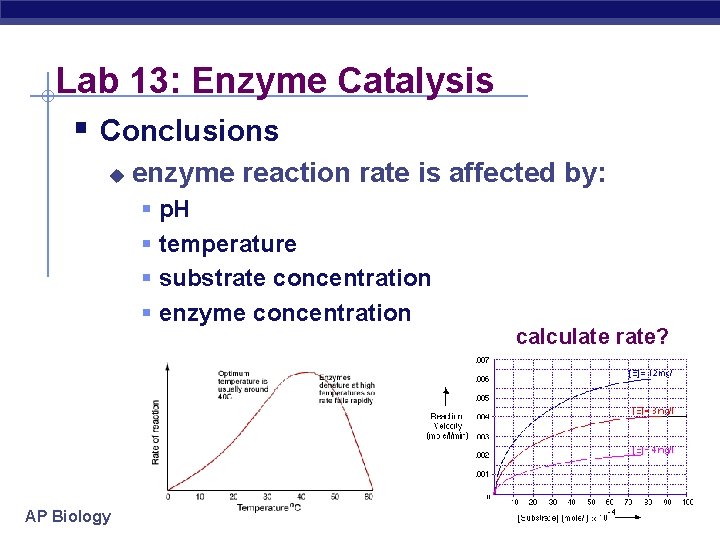 Lab 13: Enzyme Catalysis § Conclusions u enzyme reaction rate is affected by: §