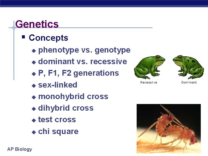 Genetics § Concepts phenotype vs. genotype u dominant vs. recessive u P, F 1,