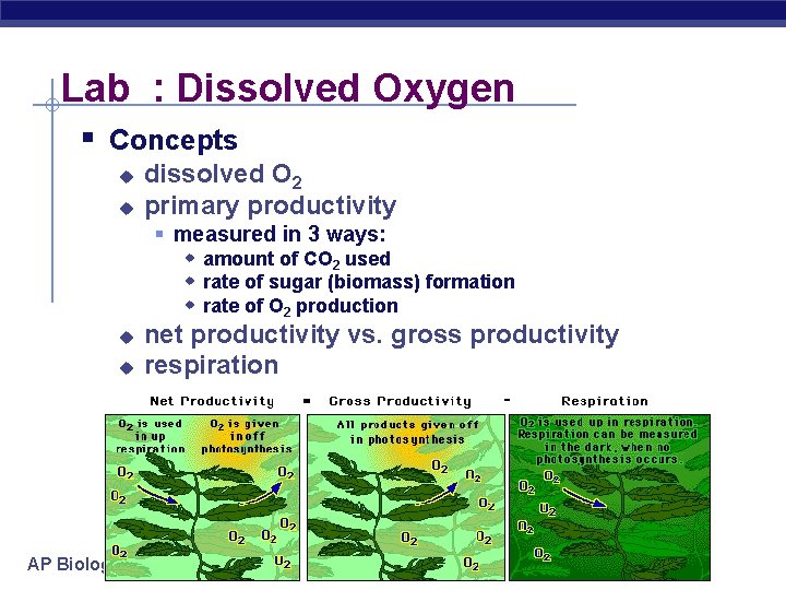 Lab : Dissolved Oxygen § Concepts u u dissolved O 2 primary productivity §