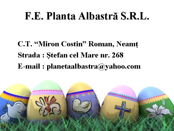 F. E. Planta Albastră S. R. L. C. T. “Miron Costin” Roman, Neamţ Strada
