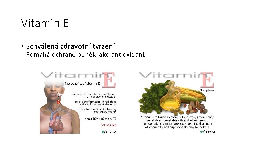 Vitamin E • Schválená zdravotní tvrzení: Pomáhá ochraně buněk jako antioxidant 