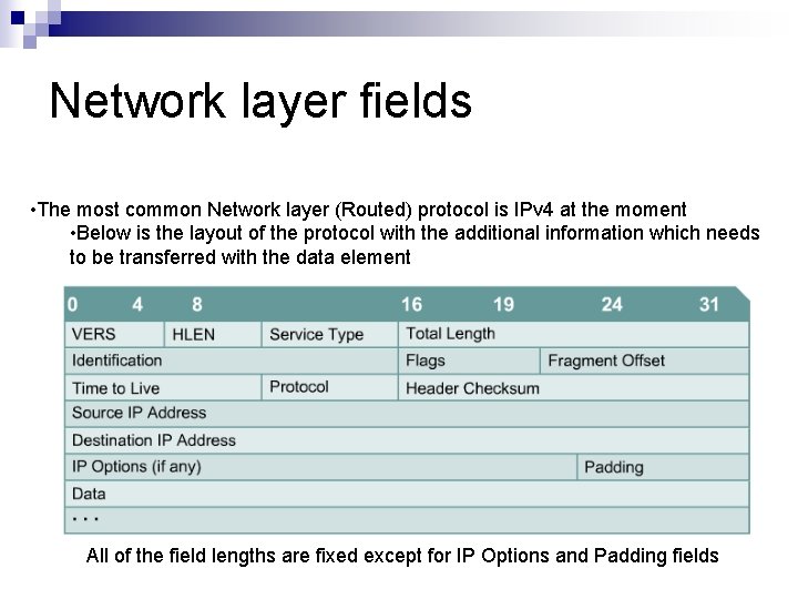 Network layer fields • The most common Network layer (Routed) protocol is IPv 4