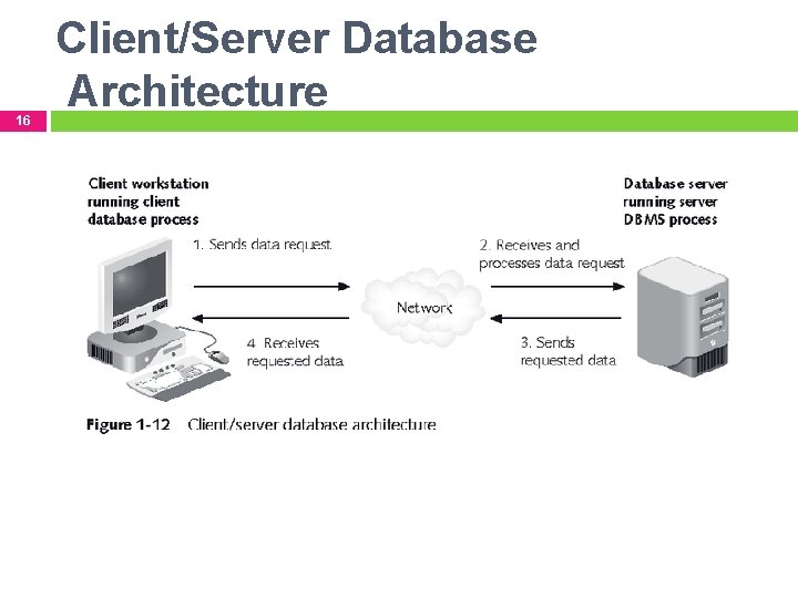 16 Client/Server Database Architecture 