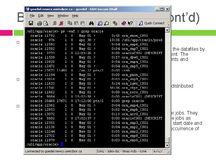 Background Processes (cont’d) Checkpoint - CKPT � Recover - RECO � All modified information