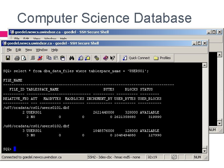 Computer Science Database Instance Name : CS 01 (v$database) Instance Version : 8. 1.