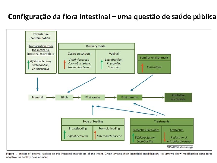 Configuração da flora intestinal – uma questão de saúde pública 