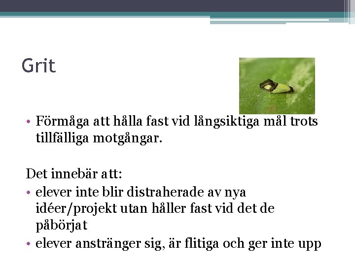 Grit • Förmåga att hålla fast vid långsiktiga mål trots tillfälliga motgångar. Det innebär