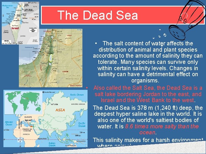 The Dead Sea • The salt content of water affects the distribution of animal