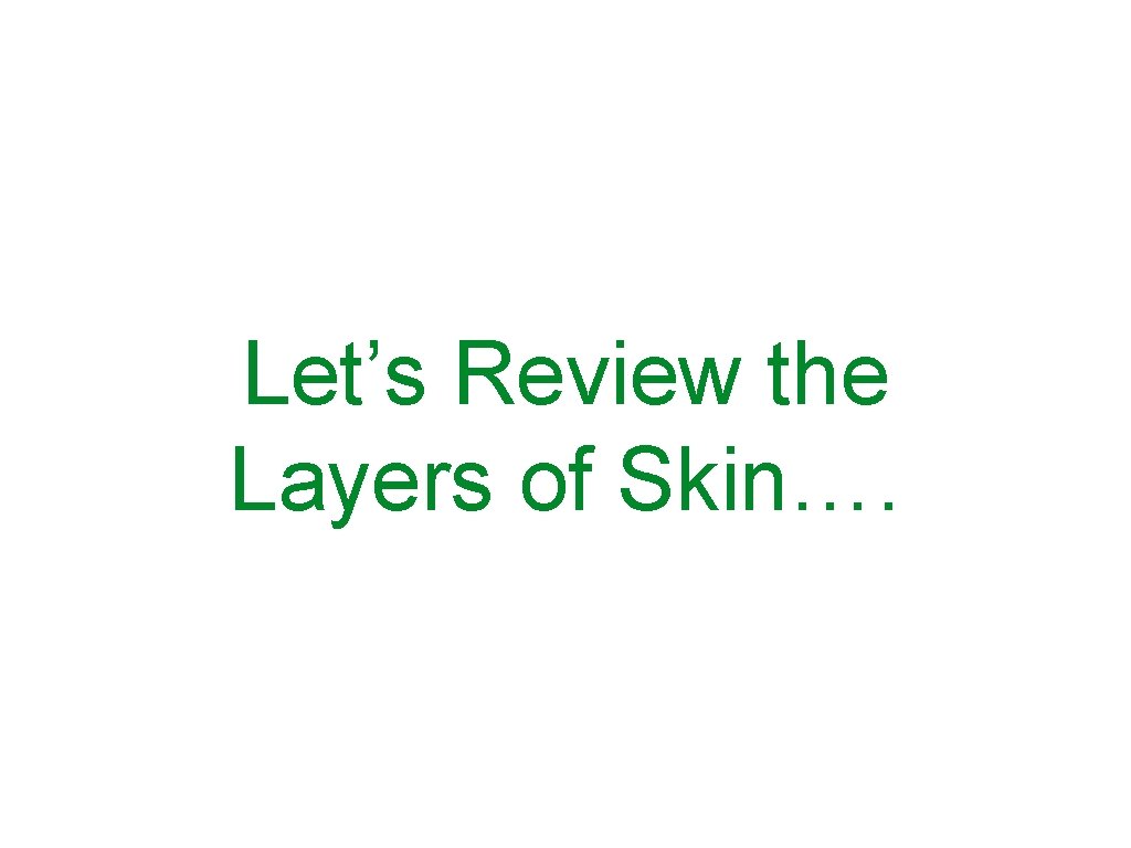 Let’s Review the Layers of Skin…. 