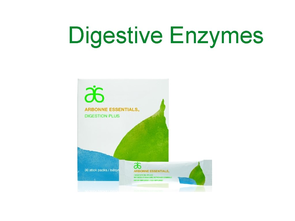 Digestive Enzymes 
