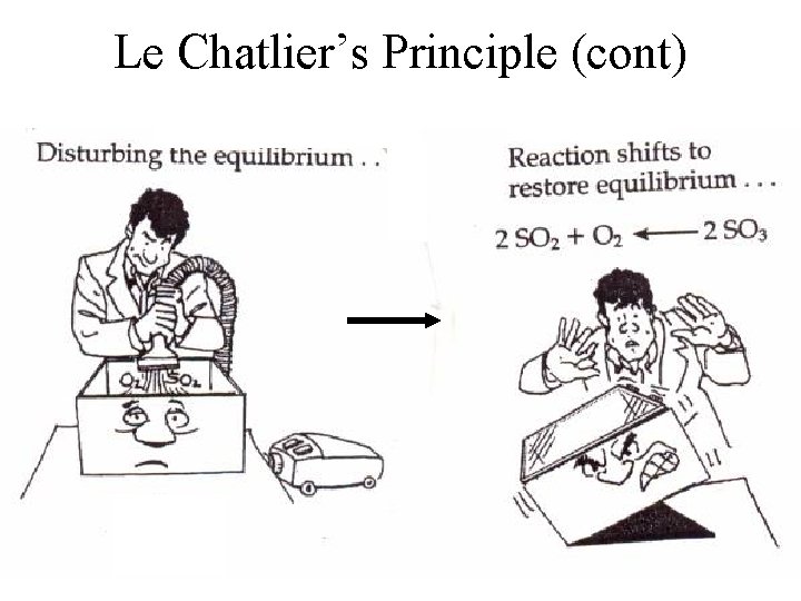 Le Chatlier’s Principle (cont) 