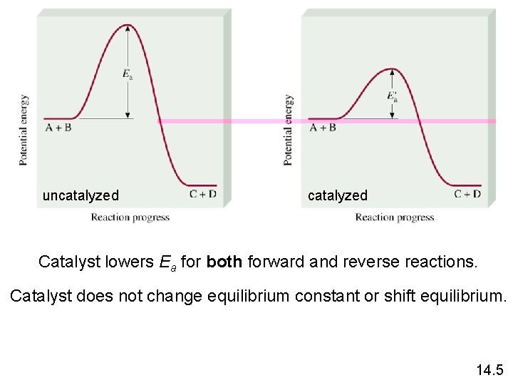 uncatalyzed Catalyst lowers Ea for both forward and reverse reactions. Catalyst does not change
