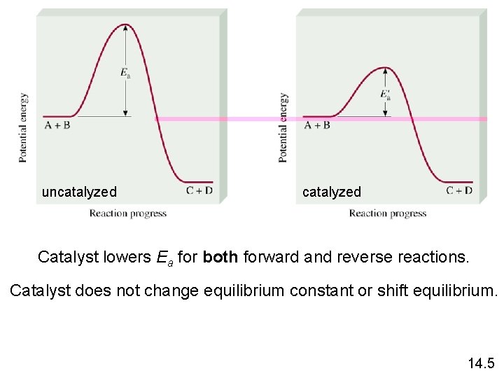 uncatalyzed Catalyst lowers Ea for both forward and reverse reactions. Catalyst does not change uncatalyzed Catalyst lowers Ea for both forward and reverse reactions. Catalyst does not change