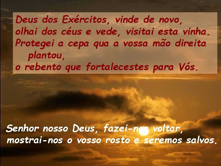 Deus dos Exércitos, vinde de novo, olhai dos céus e vede, visitai esta vinha.
