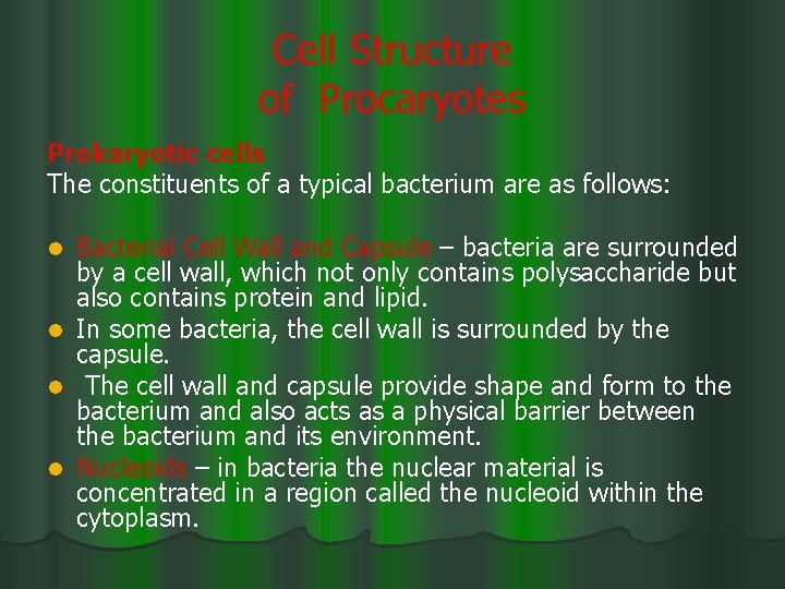 Cell Structure of Procaryotes Prokaryotic cells The constituents of a typical bacterium are as