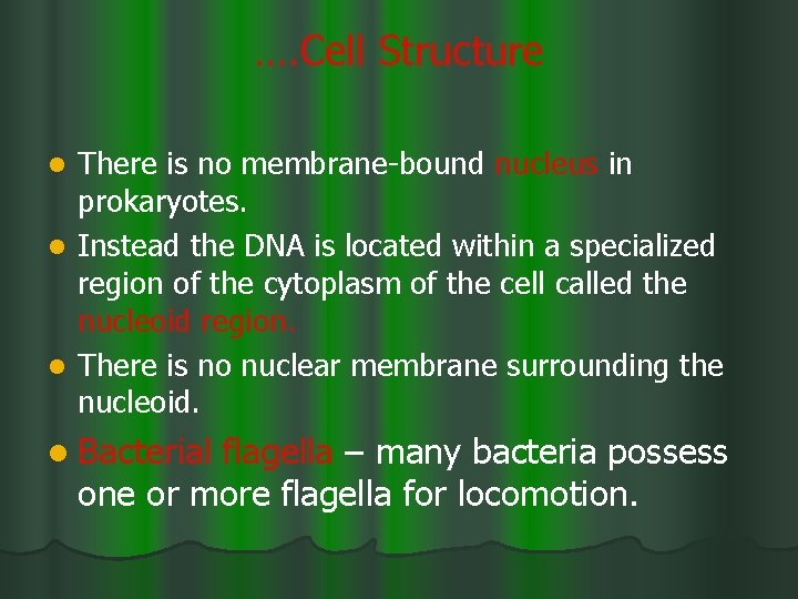 …. Cell Structure There is no membrane-bound nucleus in prokaryotes. l Instead the DNA