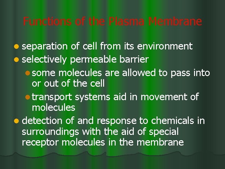 Functions of the Plasma Membrane l separation of cell from its environment l selectively