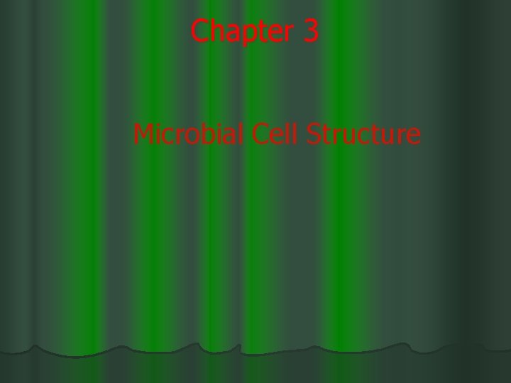 Chapter 3 Microbial Cell Structure 