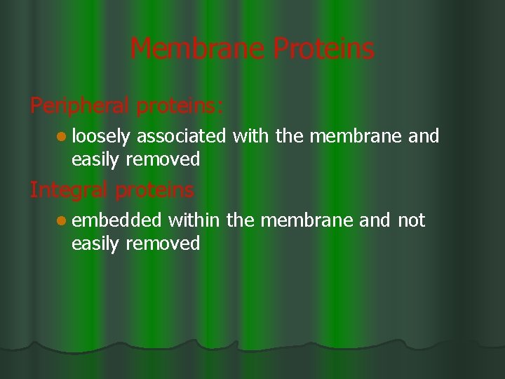 Membrane Proteins Peripheral proteins: l loosely associated with the membrane and easily removed Integral