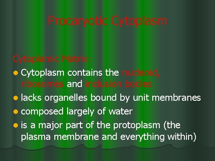 Procaryotic Cytoplasm Cytoplamic Matrix: l Cytoplasm contains the nucleoid, ribosomes and inclusion bodies l