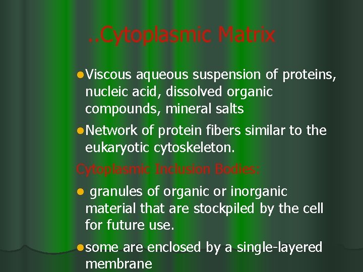. . Cytoplasmic Matrix l Viscous aqueous suspension of proteins, nucleic acid, dissolved organic