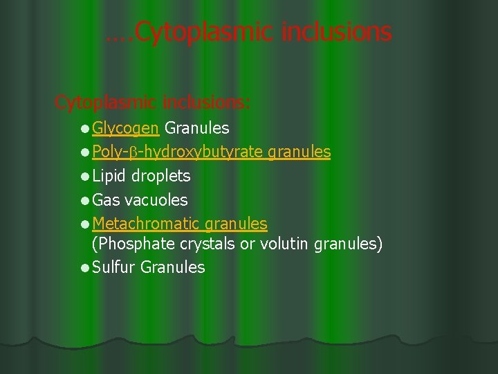 …. Cytoplasmic inclusions: l Glycogen Granules l Poly- -hydroxybutyrate granules l Lipid droplets l