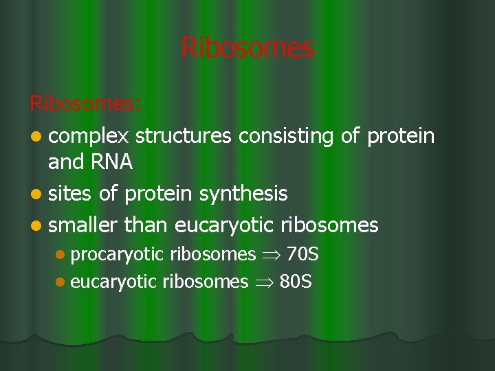 Ribosomes: l complex structures consisting of protein and RNA l sites of protein synthesis
