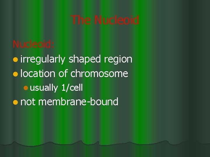 The Nucleoid: l irregularly shaped region l location of chromosome l usually l not
