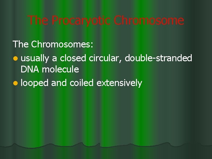 The Procaryotic Chromosome The Chromosomes: l usually a closed circular, double-stranded DNA molecule l