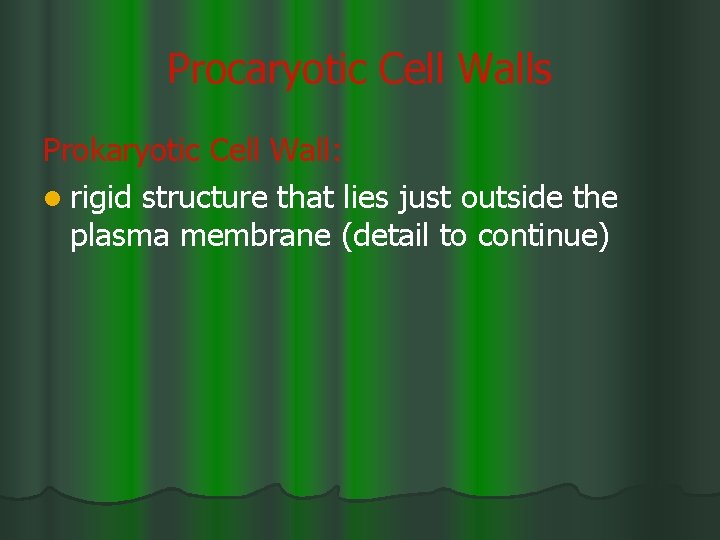 Procaryotic Cell Walls Prokaryotic Cell Wall: l rigid structure that lies just outside the