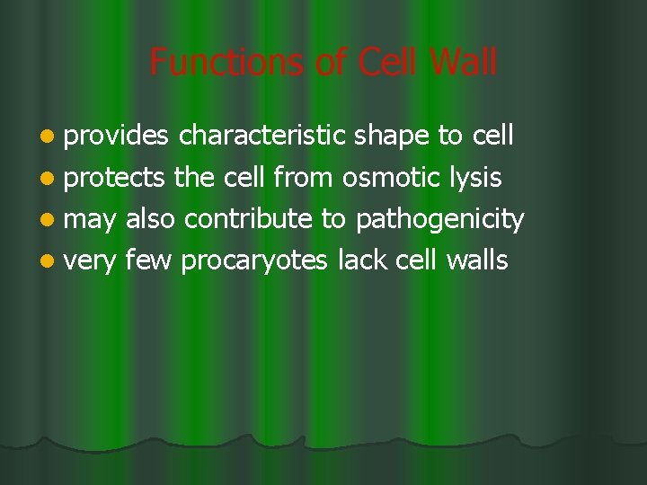Functions of Cell Wall l provides characteristic shape to cell l protects the cell