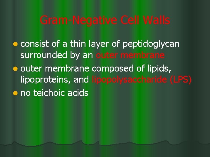 Gram-Negative Cell Walls l consist of a thin layer of peptidoglycan surrounded by an