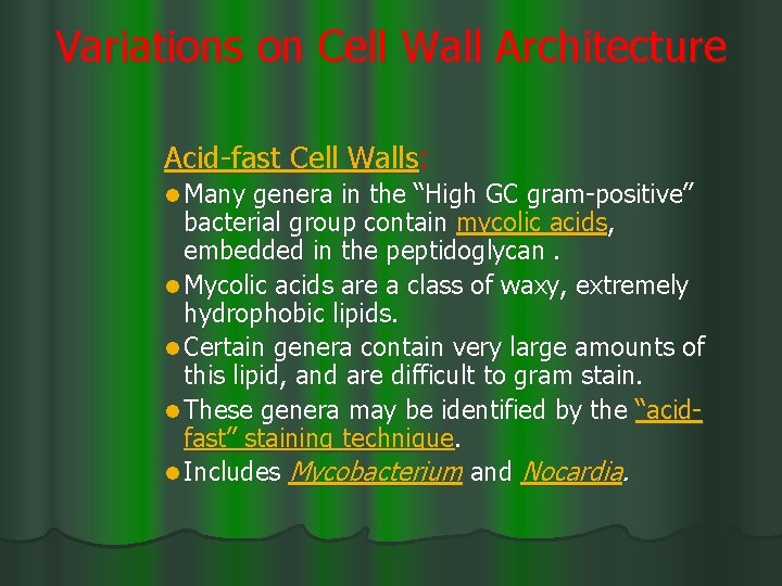 Variations on Cell Wall Architecture Acid-fast Cell Walls: l Many genera in the “High