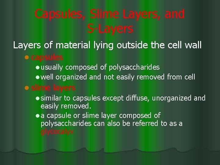 Capsules, Slime Layers, and S-Layers of material lying outside the cell wall l capsules