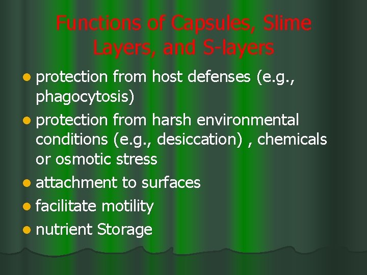 Functions of Capsules, Slime Layers, and S-layers l protection from host defenses (e. g.