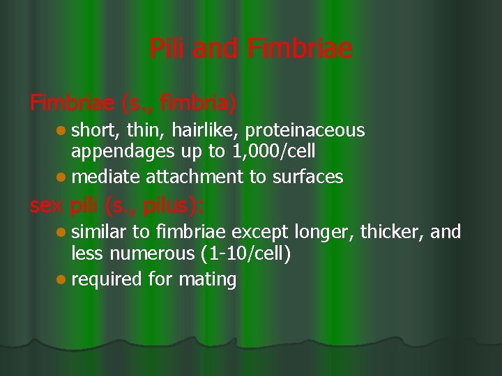 Pili and Fimbriae (s. , fimbria) l short, thin, hairlike, proteinaceous appendages up to