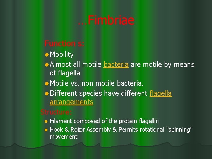 …Fimbriae Function s: l Mobility l Almost all motile bacteria are motile by means