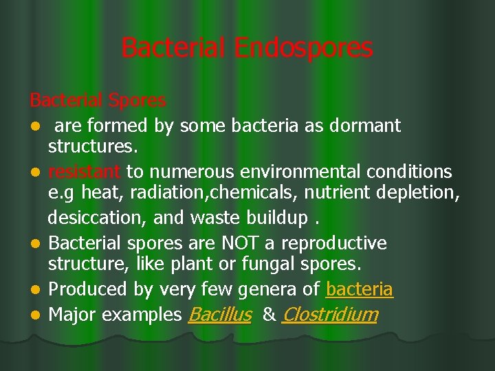 Bacterial Endospores Bacterial Spores l are formed by some bacteria as dormant structures. l