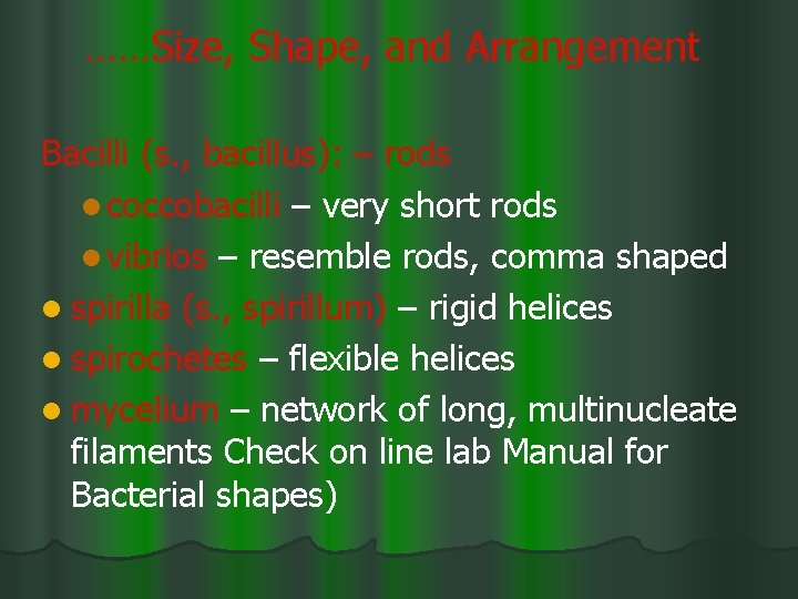 ……Size, Shape, and Arrangement Bacilli (s. , bacillus): – rods l coccobacilli – very