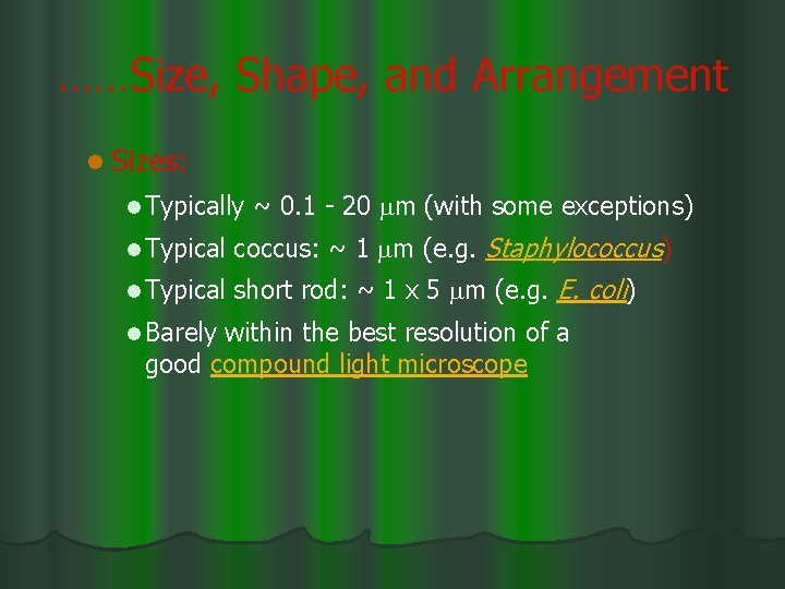 ……Size, Shape, and Arrangement l Sizes: l Typically ~ 0. 1 - 20 m