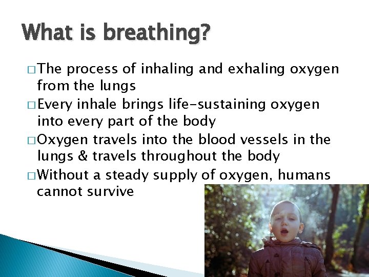 What is breathing? � The process of inhaling and exhaling oxygen from the lungs