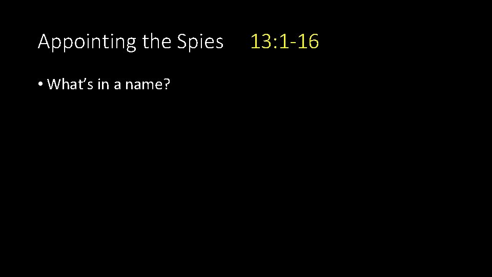 Appointing the Spies • What’s in a name? 13: 1 -16 