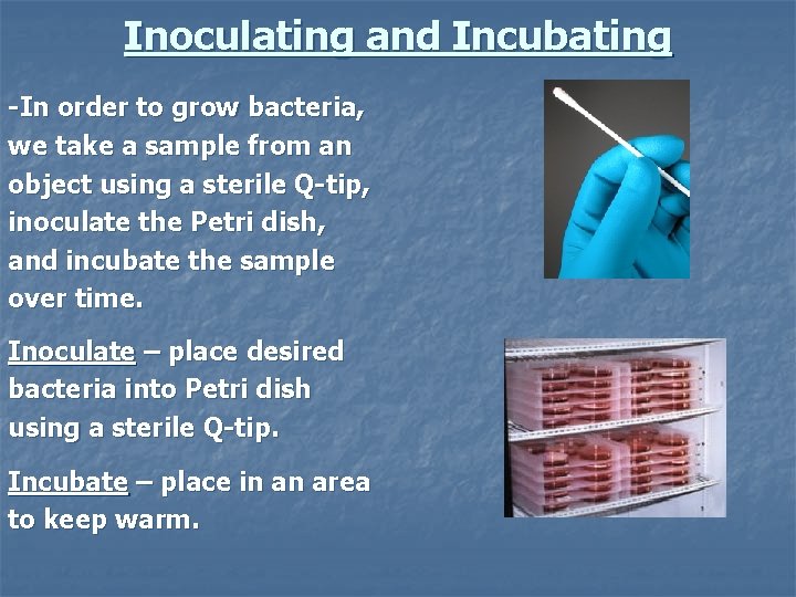 Inoculating and Incubating -In order to grow bacteria, we take a sample from an